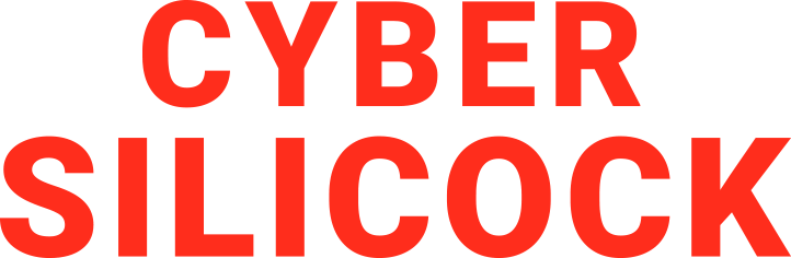 Cyber Silicock