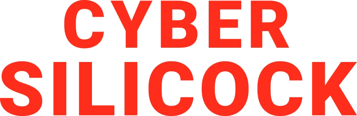 Cyber Silicock