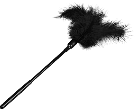 Πουπουλένιο tickler