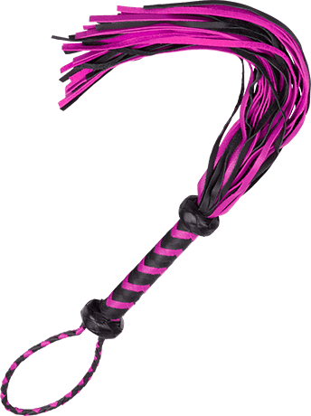 Μαστίγια & Κουπιές