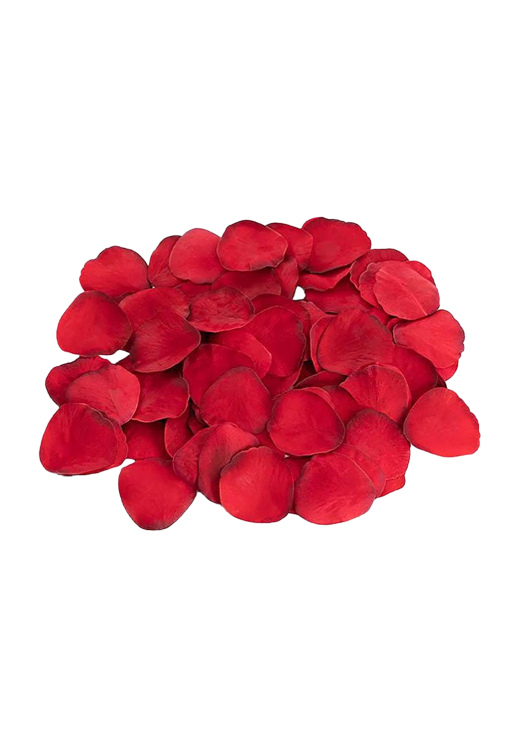 Δονητής μασάζ από σιλικόνη