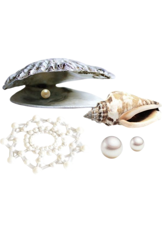 Καλύμματα θηλών από στρας σε λευκό χρώμα