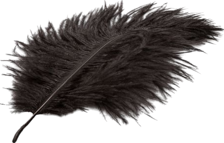 Sex toy kit σε μαύρο χρώμα