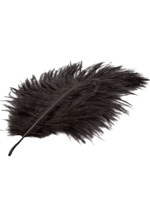 Sex toy kit σε μαύρο χρώμα