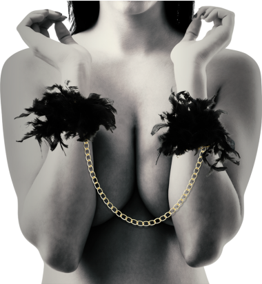 Μεταλλικές χειροπέδες