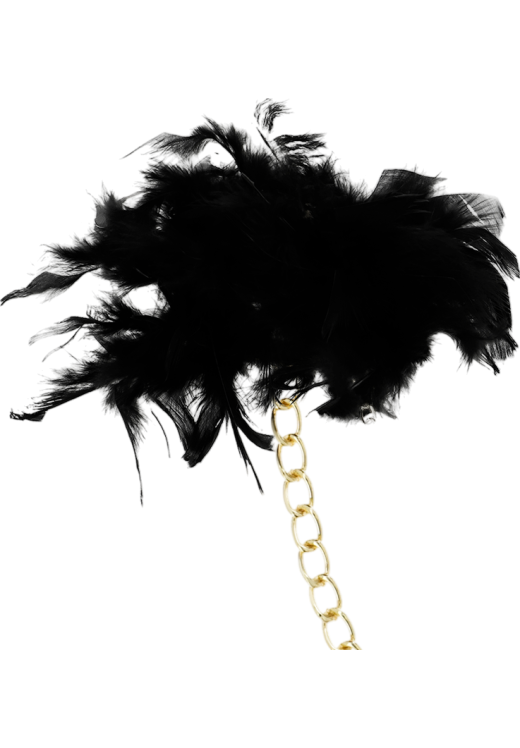 Μεταλλικές χειροπέδες