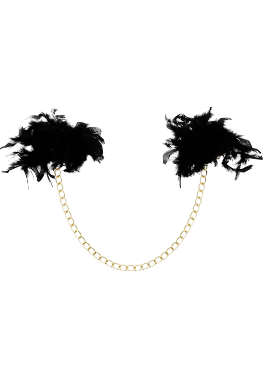 Μεταλλικές χειροπέδες