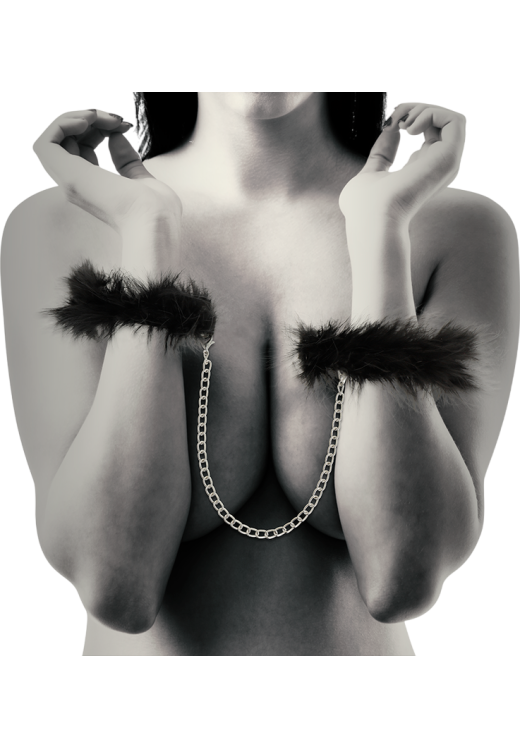 Μεταλλικές χειροπέδες