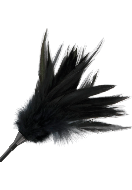 Βίτσα σε μαύρο χρώμα