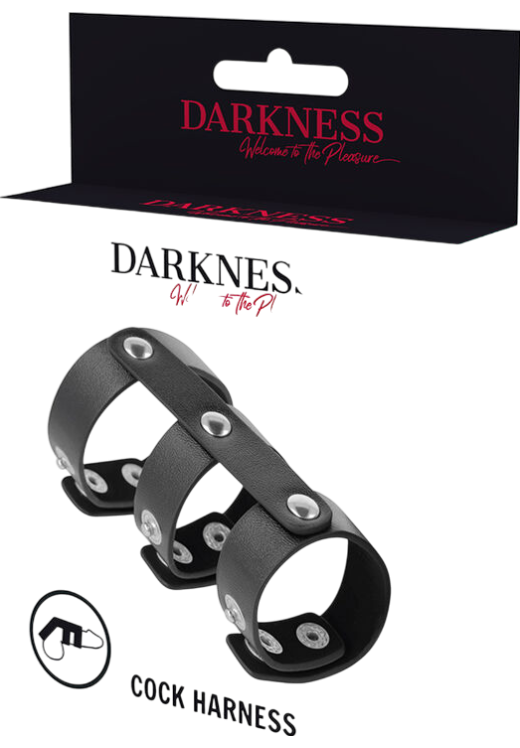 Διπλό δαχτυλίδι πέους από δερματίνη σε μαύρο χρώμα