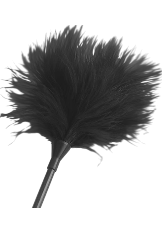 Sex toy kit σε μαύρο χρώμα