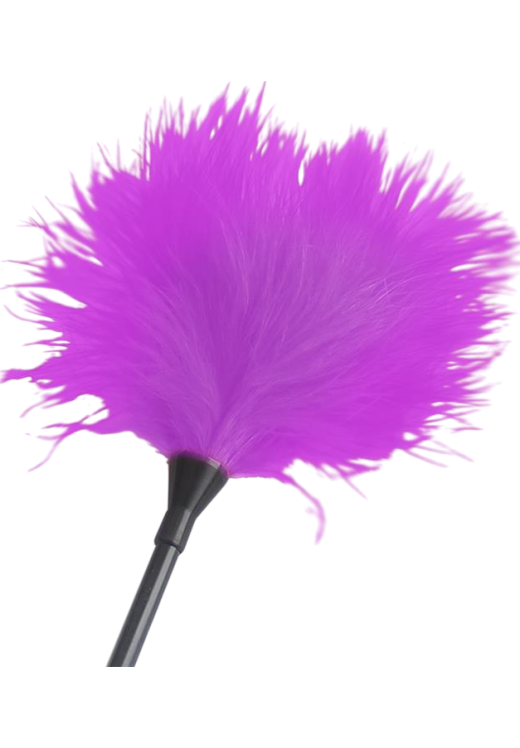 Sex toy kit σε μοβ χρώμα