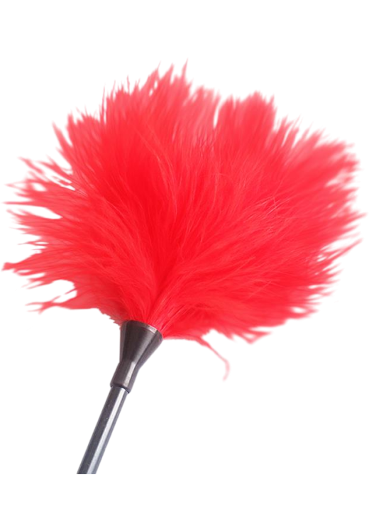 Sex toy kit σε κόκκινο χρώμα