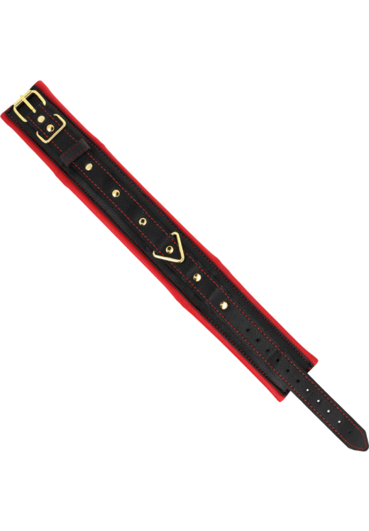 Κολάρο από δερματίνη σε κόκκινο χρώμα