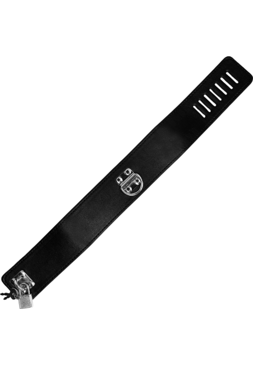 Κολάρο από δερματίνη σε μαύρο χρώμα