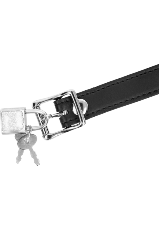 Φίμωτρο από δερματίνη σε κόκκινο χρώμα, μήκους 63 εκ.